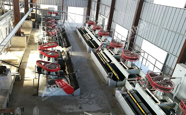 Introduction to conventional graphite ore flotation process and reagents