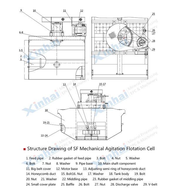 structure-SF-Flotation-Cell.jpg