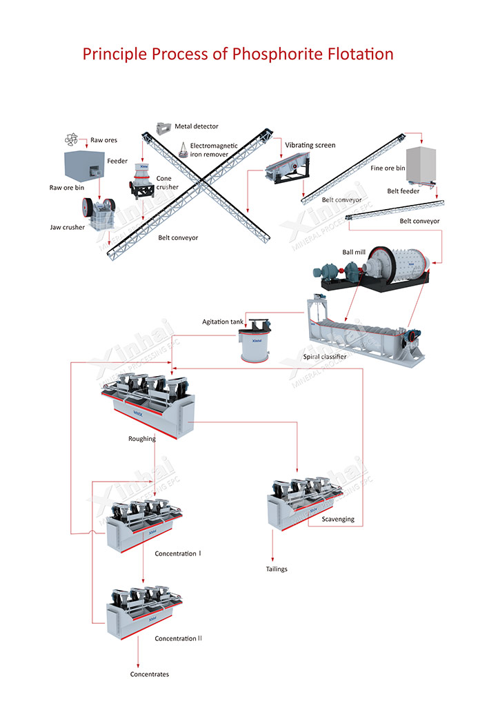 Phosphate ore flotation process