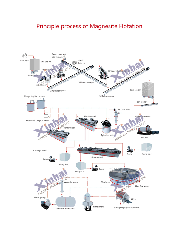 Process-of-Magnesite-Flotation