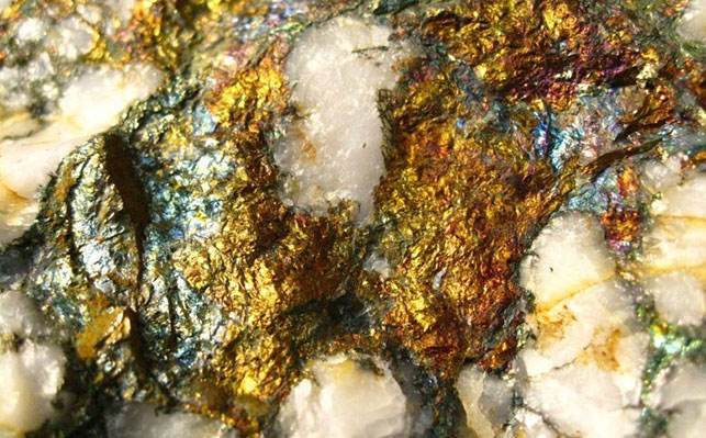 Mylonite-type-sulfur-poor-gold-deposit