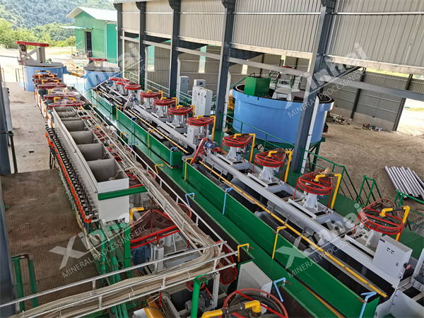 Malaysia Lead Zinc Mine Flotation Plant