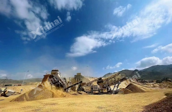 tailor-made-mineral-processing