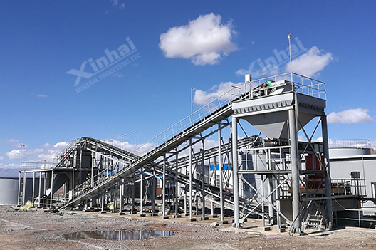 Silver Flotation Production Line